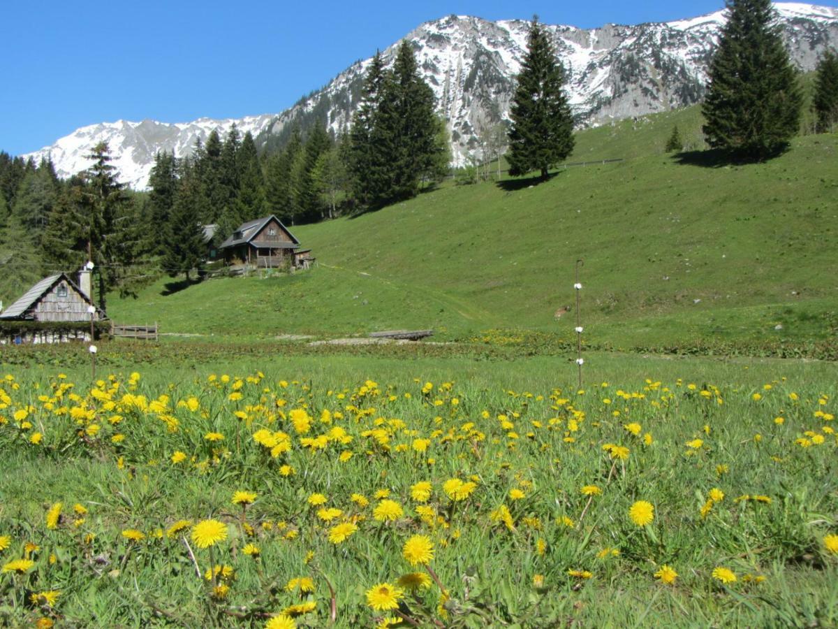 Almgasthaus Seebergalm Turnau Esterno foto