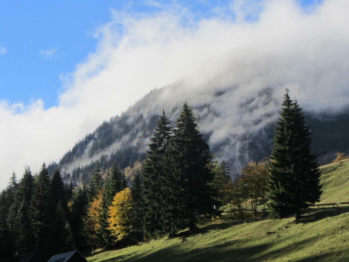 Almgasthaus Seebergalm Turnau Esterno foto