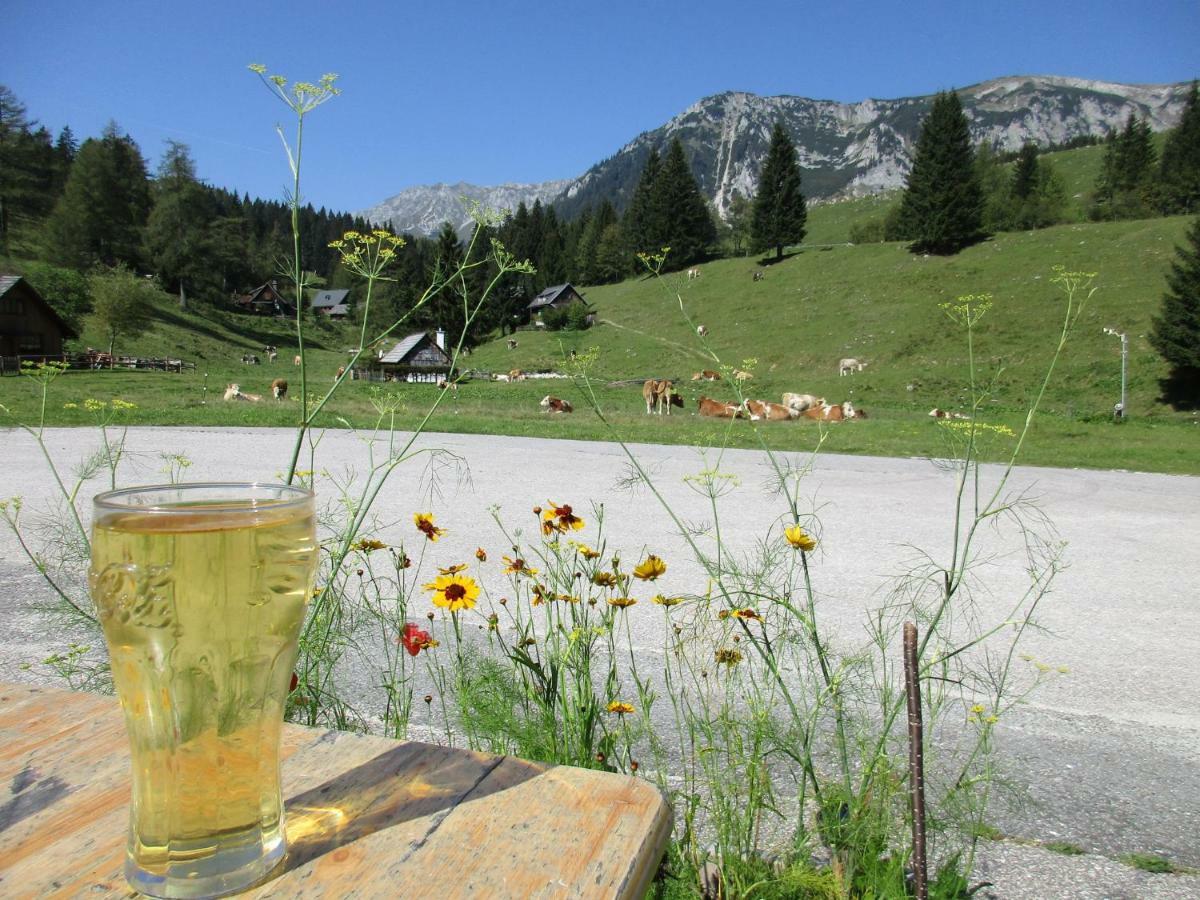 Almgasthaus Seebergalm Turnau Esterno foto